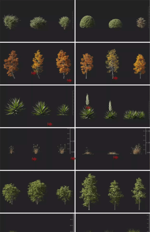 90 High-Poly 3D Plant Models - Flowers/Trees/Shrubs Collection for Max/Blender/C4D